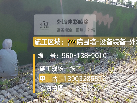 广西外墙迷彩漆材料价约 45-60 元 /k