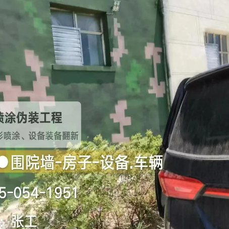 广西数码迷彩漆施工